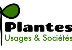 Club Plantes, Usages et Sociétés