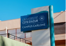 CAMPUS CARLONE