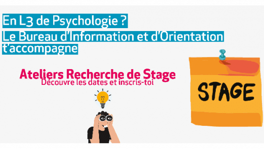 L3 Psychologie : A la recherche de ton stage !